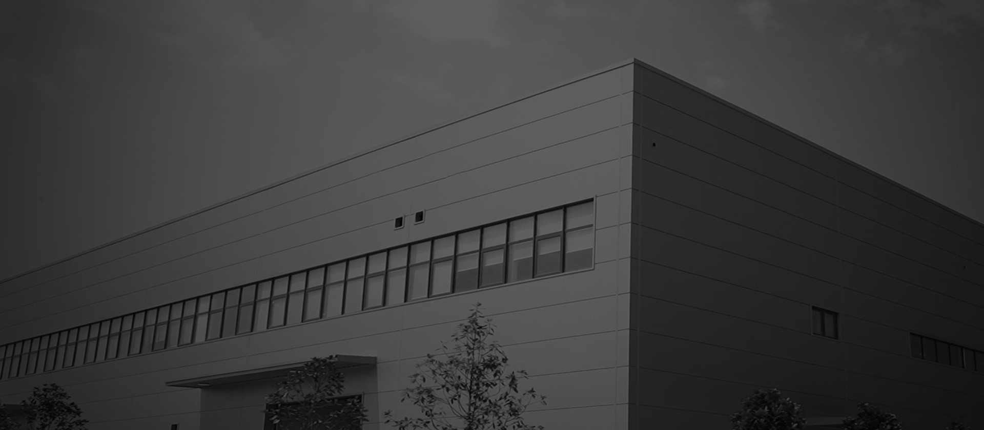 Company Profile